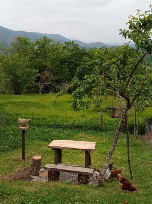 Casa Rural El Cotu En Onís Екстериор снимка